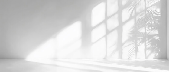 Obraz premium a white wall with a large window. Sunlight is streaming through the window, casting the shadow of a palm leaf onto the wall. Generative AI
