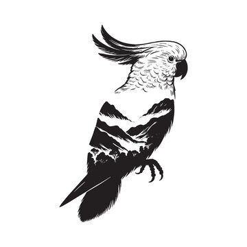 recommend clip art: silhouette of Cockatoo filled with mountain and nature view in rough drawing
