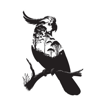 recommend clip art: silhouette of Cockatoo filled with nature view in rough drawing