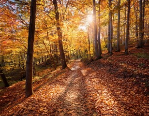 Autumn Leaves Path Through Forest