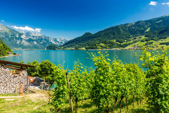 Scenery pastoral view around Quinten hamlet situated on north shore of Walensee, Switzerland, accessible by hiking or boat