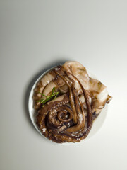 Fresh octopus on a white plate ready for cooking. Seafood on white background