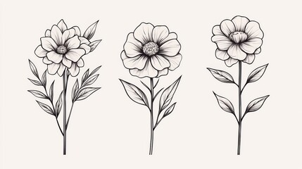 Three flowers are drawn in black and white