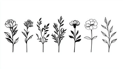 A series of black and white drawings of flowers