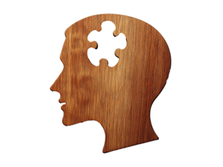 a wooden head with a puzzle piece missing