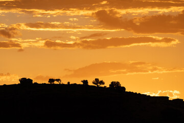 A stunning sunset over a ridge in silhouette.