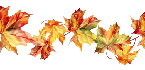 Fototapeta premium PNG Maple plant tree creativity.