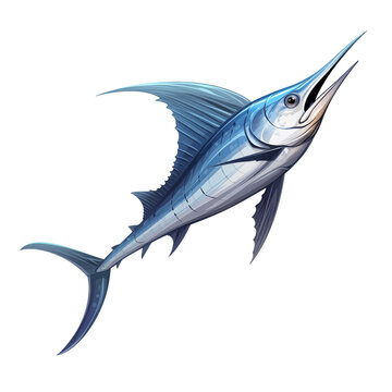 blue marlin fish swimming upwards clip art preview