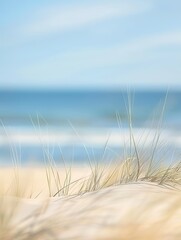 Beach grass in the sand