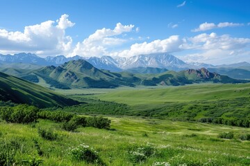 Fototapeta premium Lush Green Valley Surrounded by Majestic Mountains with Snow-Capped Peaks
