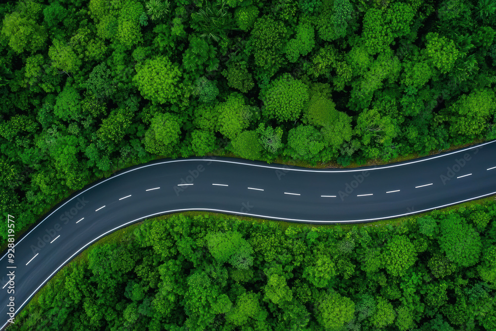 Wall mural aerial view of a curvy road cutting through lush green forest, showcasing the beauty of nature and m