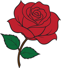 red rose hand drawn Vector cut out illustration clipart isolated on transparent background.