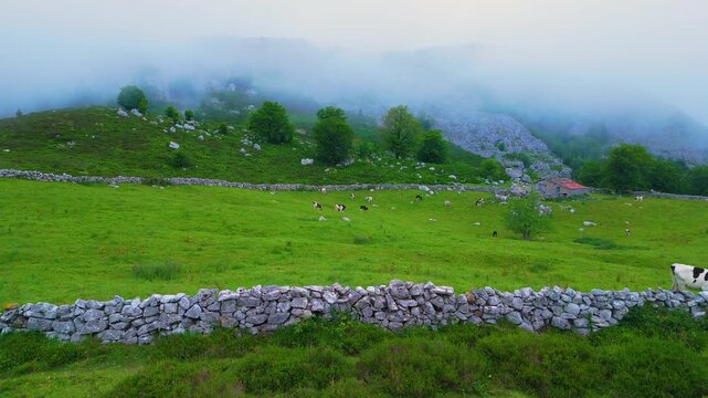 Fog in the spring landscape of pastures and Pasiegas cabins in the Natural Park of the Collados del As&oacute;n. Aerial view from a drone. Hills of Ason Natural Park. Soba Valley, Cantabria, Spain, Europe