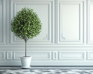 Fototapeta premium Minimalist Green Plant in White Room A LowAngle View of a Lush Green Plant in a White Pot Standing Against an Elegant White Paneled Wall