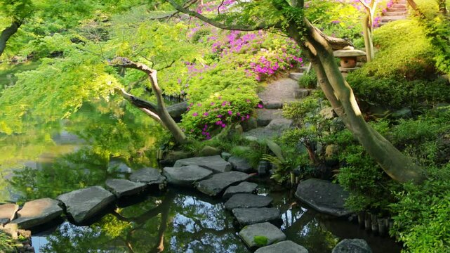Traditional Japanese garden in Tokyo with a pond and a stepping stone bridge, iconic Japanese garden, Japanese gardening, oriental garden, tourism in Asia