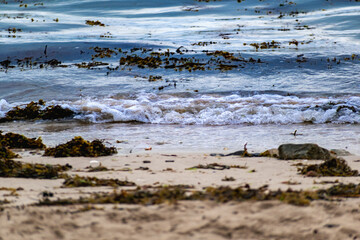 Seaside and waves, beach with sand, water, shell