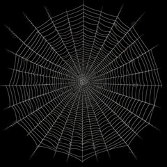 Obraz premium A spiderweb on a black background
