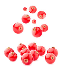Ripe fresh  red currant berries photographed closeup isolated on a white background.