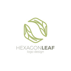 Hexagon Leaf Logo Design. Organic logo Vector. Leaf Line Logo