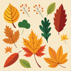 Autumn leaf leaves vector set element illustration vector.