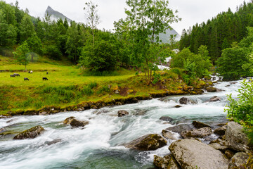 Geiranger Fluss 2 © Jupp