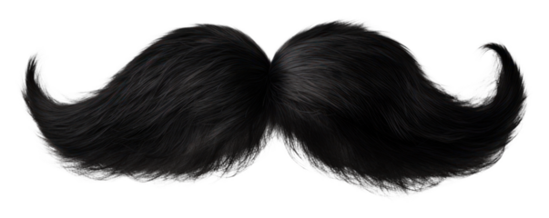 PNG Moustache portrait mustache person.