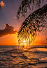 sunset on the beach