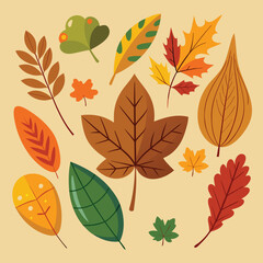Fototapeta premium Autumn leaf leaves vector set element illustration.