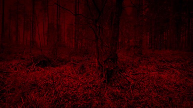 Walking Through Scary Red Forest Side View