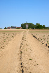 Dusty country road leading to vintage mill on horizon