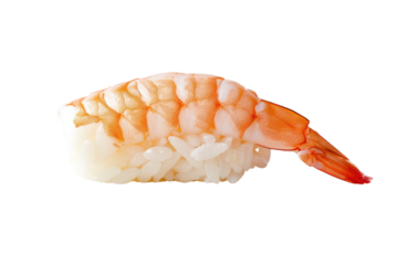 Single piece of sushi shrimp, showing balance, isolated on white background.