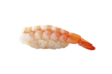 Single piece of sushi shrimp, showing balance, isolated on white background.