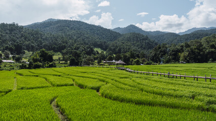 Banner view of bamboo Bridge in Pai, Mae Hong Son, Chiang Mai, thailand