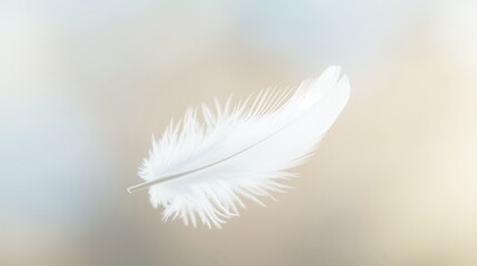 White Feather Floating in Soft Background - Ideal for Serenity and Tranquility Concepts, Elegant and Beautiful Image for Various Projects
