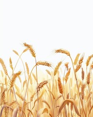 Golden wheat field