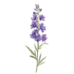 Naklejka premium A beautifully illustrated purple flower with delicate petals and green leaves, ideal for botanical designs and nature themes.