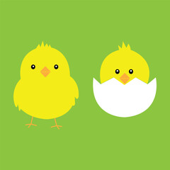 easter chicken and eggs