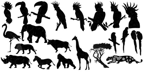 African animals and birds set Natural Look Black Vector Silhouette Design Element
