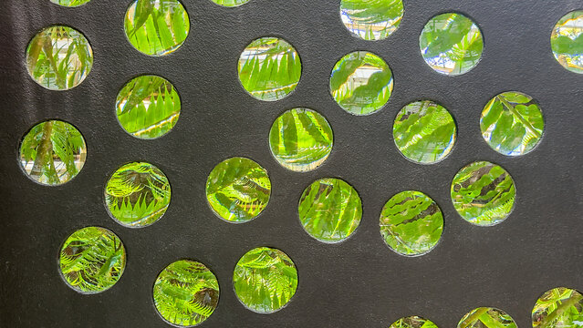 Bright partial views of leafy plants, seen through circles of transparent glass embedded in a textured display wall, in a tropical conservatory, for motifs of curiosity, comparison, and multiplicity