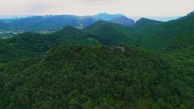Candina - Images et vidéos libres de droits | Adobe Stock