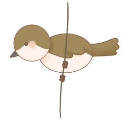 A cute little brown bird perched on a branch