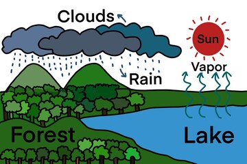 Hand drawn picture with English vocabulary to explain about the water cycle. Sun Lake Vapor Clouds Rain Forest. Illustration for education.Concept, teaching aid. Educational materials. Science subject
