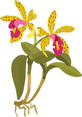 Hand drawn illustration of wild orchid flower yellow wild orchid