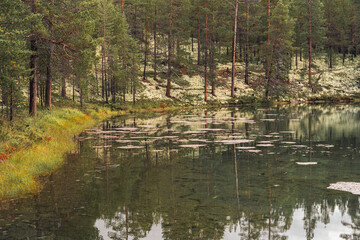 Obraz premium A pond of the Kroktjonna Lakes by Grimsbu, Folldal, Norway.