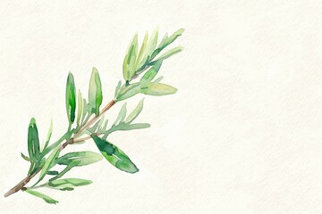 Obraz premium A delicate watercolor illustration of a green herb branch on a textured background, perfect for nature-themed projects.