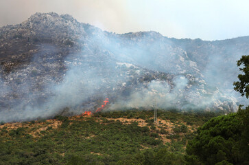 Fire in the mountains in Montenegro