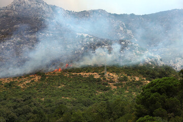 Fire in the mountains in Montenegro