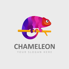 abstract gradient abstract vector chameleon logo