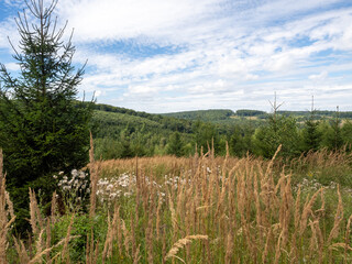 Fototapeta premium Sauerland