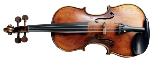 PNG Full violin fiddle viola musical instrument.